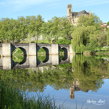 Photographie Publicitaire - Office de tourisme - Cathédrale de Limoges - bord de Vienne - Pont Saint Etienne - reflet - verdure