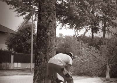 Savoir faire - Reportage d'entreprise - élagage d'arbres